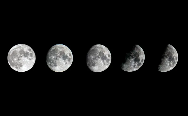 Semer sous les étoiles : le guide lunaire pour balcons et jardins français